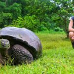 Why You Need to Be the Tortoise If You Want to Win in Business