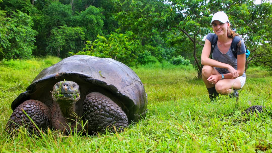 Why You Need to Be the Tortoise If You Want to Win in Business